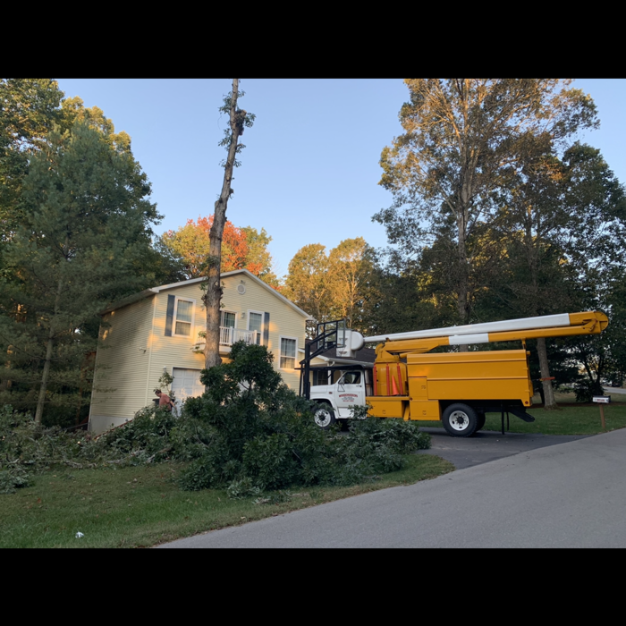 Additional Photos