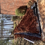 French drain installation!
