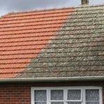 Pressure Washing Project