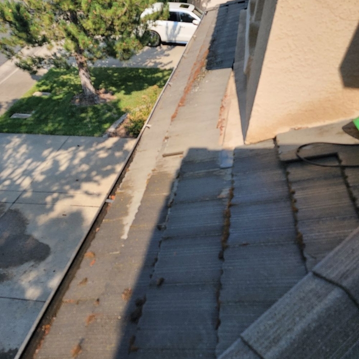 Roof Cleaning Project