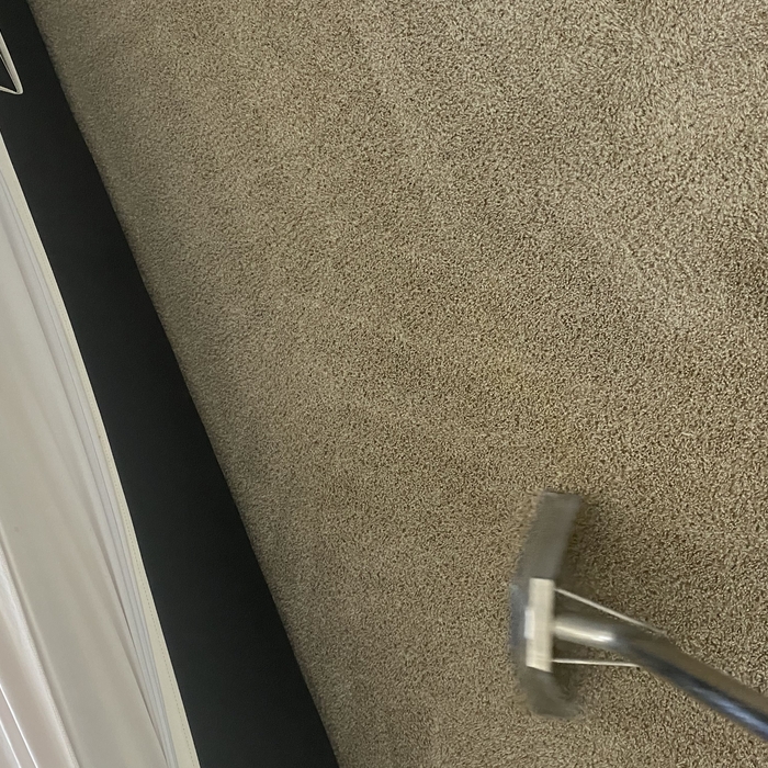 Carpet Cleaning Project