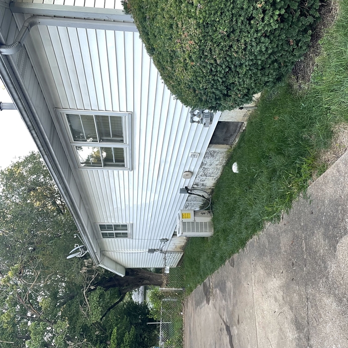 Pressure Washing Project