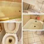 Before and After