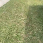 Lawn and Yard Work Project