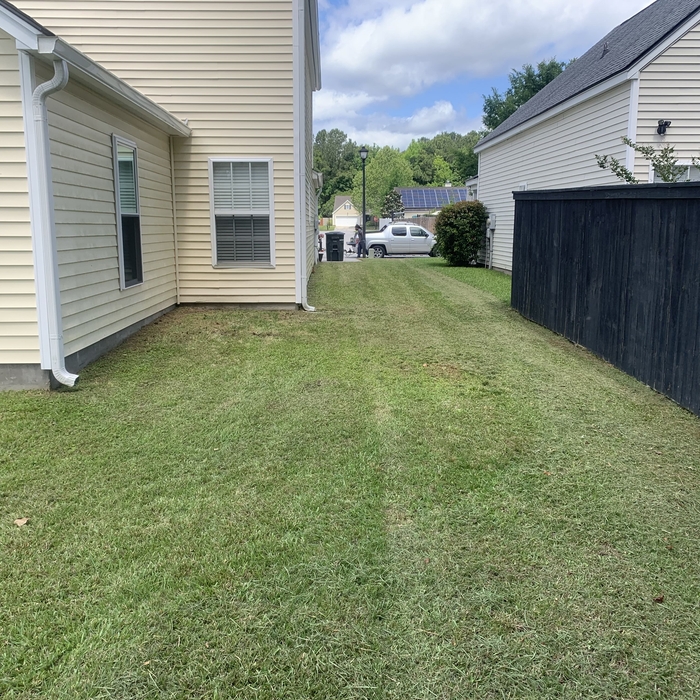 Lawn and Yard Work Project