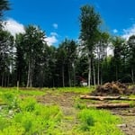 Land clearing