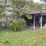 Before- clearing