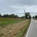 Ditch clearing