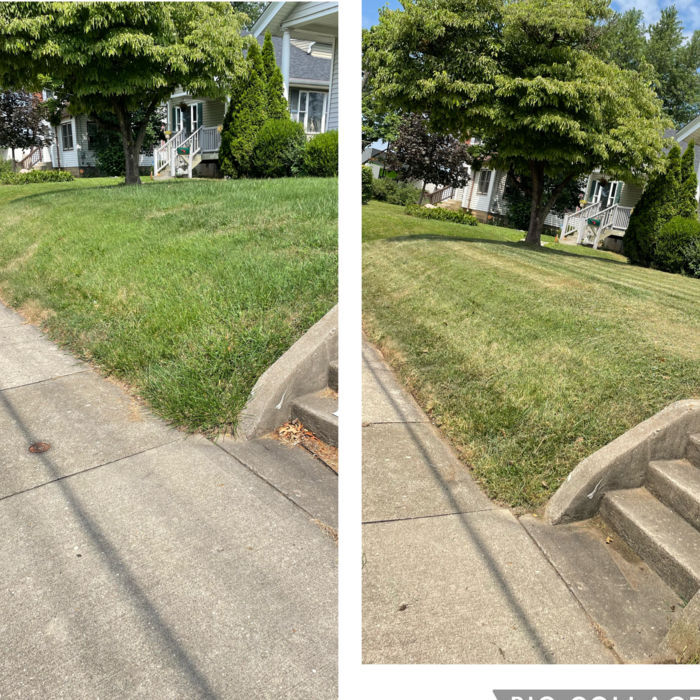 Lawn care
