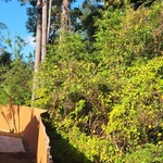 Tree Service Project