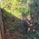 Tree Service Project