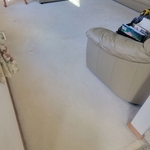Carpet Cleaning Project