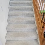 Carpet Cleaning Project