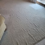 Carpet Cleaning Project