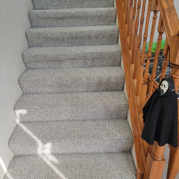 Carpet Cleaning Project