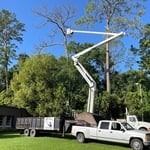 Tree Service Project