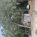 Tree Service Project