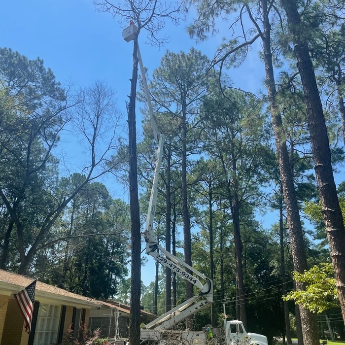 Tree Service Project