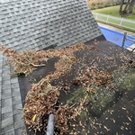 Roofing Project