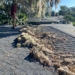 Roofing Project