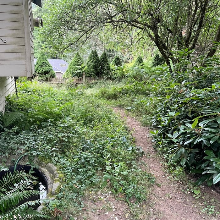Additional Photos