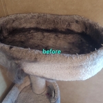 Deep clean/organizing cat room