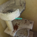 Deep clean/organizing cat room