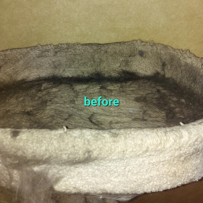 Deep clean/organizing cat room
