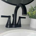 Housecleaning Project