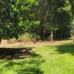 Clean and mulch flower beds
