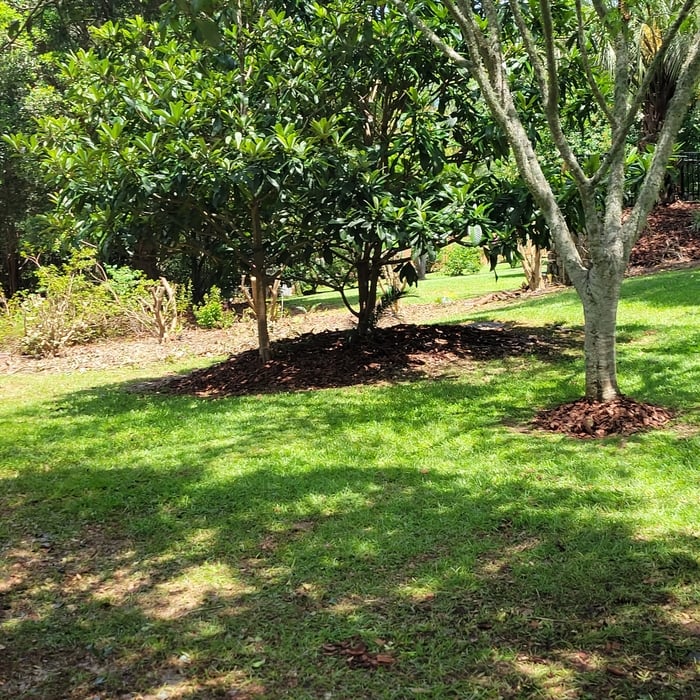 Clean and mulch flower beds