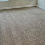 Carpet cleaning the loft.