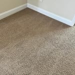 Carpet cleaning the hallway.