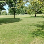 2 acre Yard