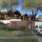 Removal of one tree