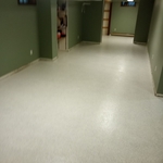 Coatings Project