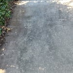 Pressure Washing Project