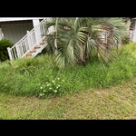 Pensacola beach garden