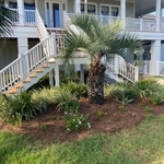 Pensacola beach garden