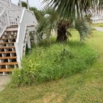 Pensacola beach garden