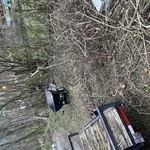 Leaf Removal Project