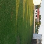 Landscaping and Yard Word