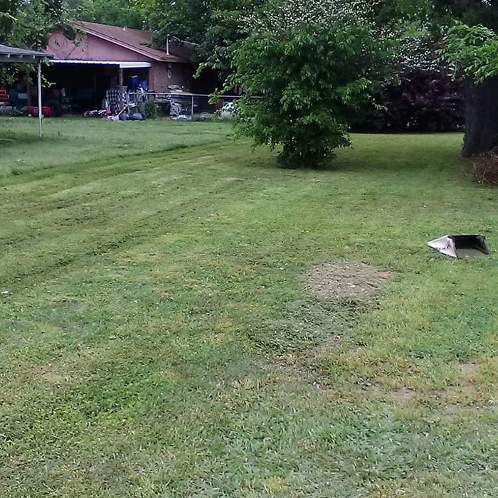 Landscaping and Yard Word