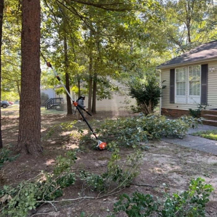 Additional Photos