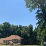 Tree Removal