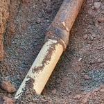 Exposed at 5.5” deep