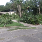 Tree Service Project