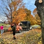 Tree Service Project