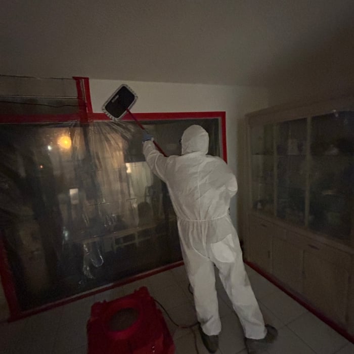 Mold Remediation