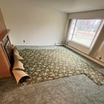 Carpet Removal